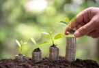 Power of Impact Investing in Today's World