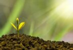 Rewards of Mutual Fund Investing
