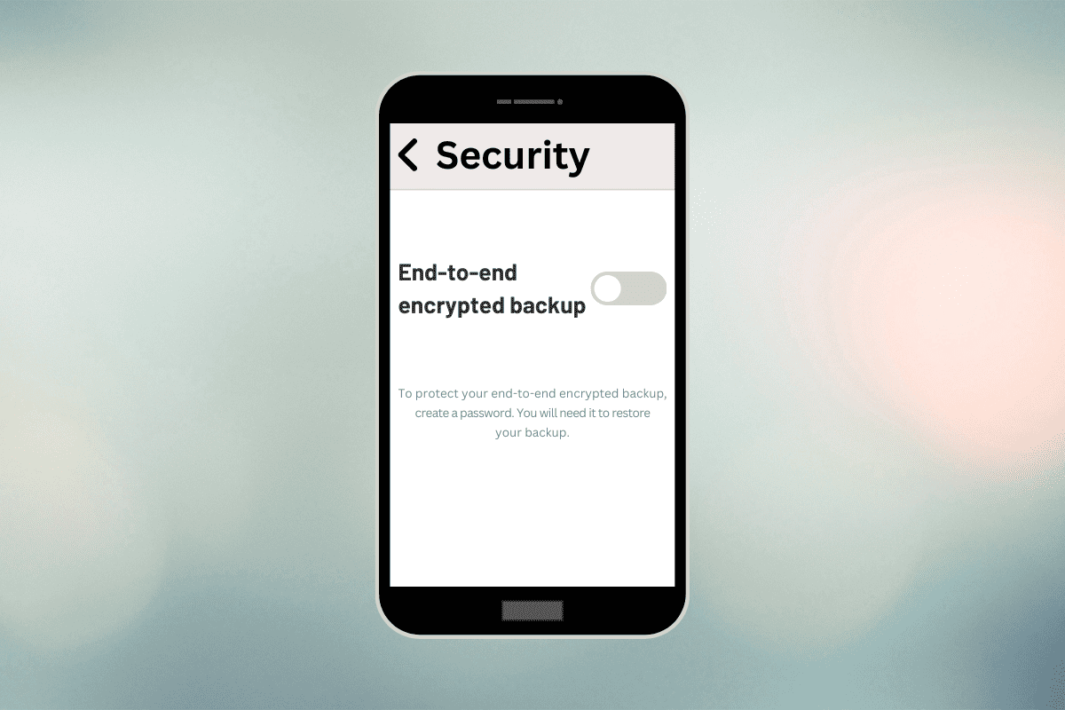 How to Disable End-to-End Encryption on Android