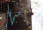 The Role and Impact of Institutional Investors