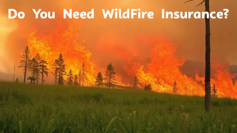 Do You Need Wildfire Insurance?