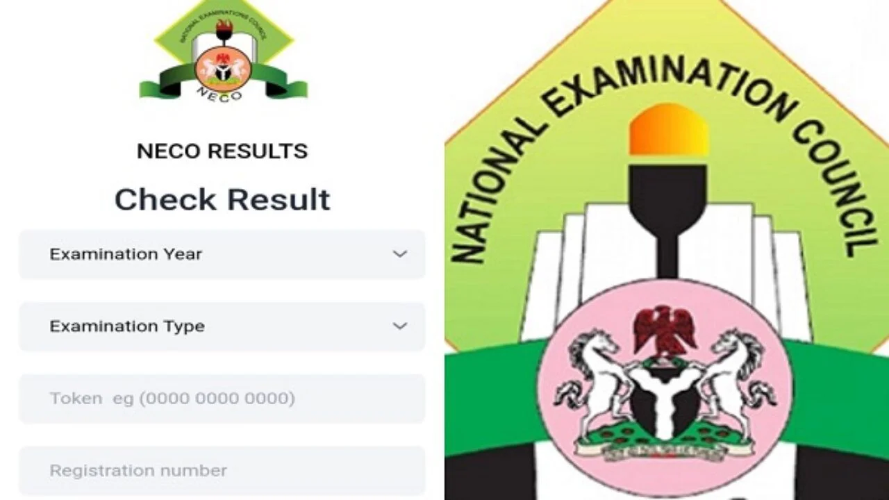 How to Check Your NECO SSCE Results Online