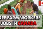 Farm Jobs in Canada with Sponsorship for Foreign Workers