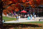 Horace McKenna Scholarship and Academic Awards for Students